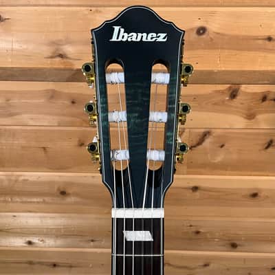 Ibanez FRH20FMN Acoustic Electric Guitar - Deep Emerald Green image 3