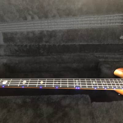 Alembic Brown Bass image 12