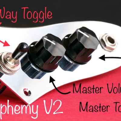 Blasphemy. A Fender Jazz Bass Wiring Harness and Control Plate with 3 Way Toggle Switch image 1