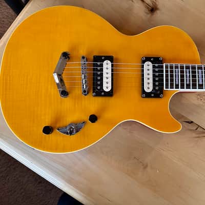 Slash AFD Les Paul Special II - Everything New & Upgraded image 2
