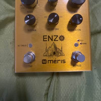 Meris Enzo 2018 - Gold image 1