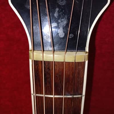 Otwin 1508 Guitar Germany GDR 6 String Vintage and Rare Made in Germany(1920s years) image 18