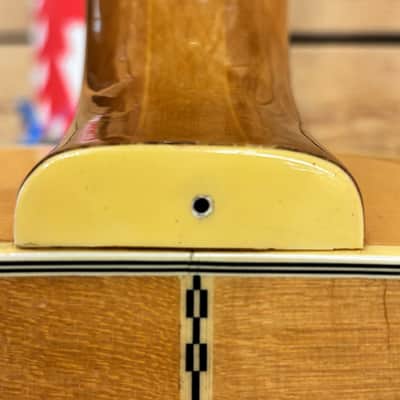 Epiphone FT-570BL - Natural - 1130753 image 16