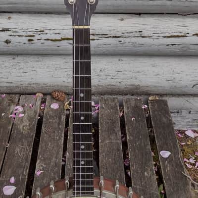 Fairbanks by Vega Style N tenor banjo image 4