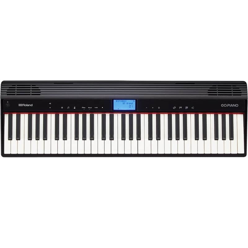 Roland GO-61P GO:PIANO 61-Key Digital Piano image 1