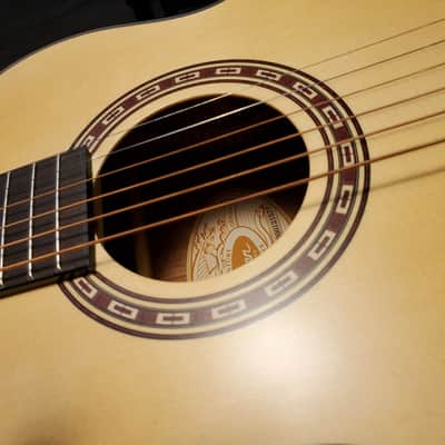 Washburn AGM5K G mini image 8