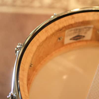Craviotto 5x14 Private Reserve Birdseye Maple Black/Clear Lacquer Snare Drum image 6