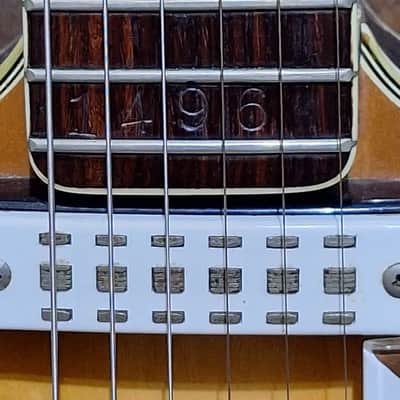 1961 Eko 360/2V Florentine Semi-Hollow Body - Lemon Burst - image 12