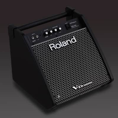Roland Personal Monitor PM-100 image 4