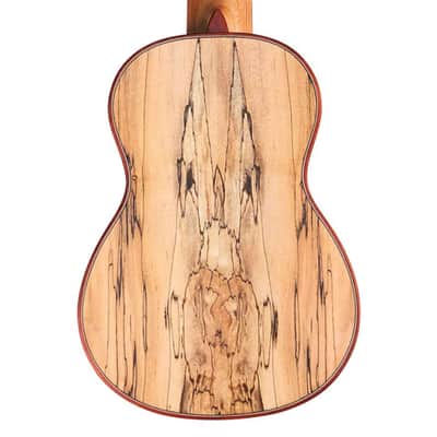 Cordoba 24S Spruce Soprano Ukulele w/ Spalted Maple Back image 7