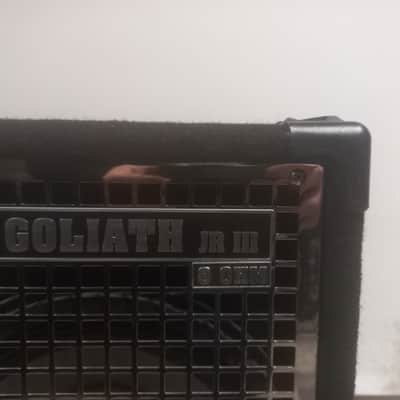 SWR GOLIATH III junior 2x10 bass cabinet image 5