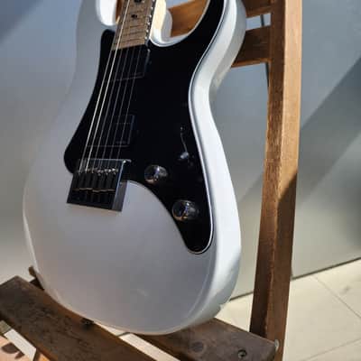 Caparison Dellinger-JSM Joel Stroetzel`21 image 4