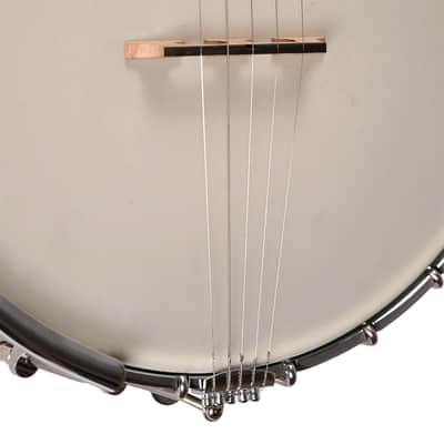 Gold Tone Mastertone™ WL-250/L: Lefty White Ladye Banjo with Case image 3