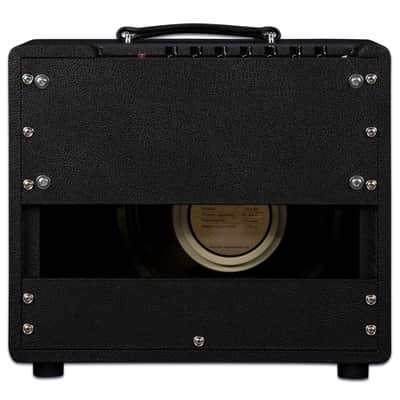Friedman JJ-Junior Jerry Cantrell Signature Guitar Combo image 6