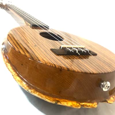 Turtle Shell Tenor Ukulele image 12