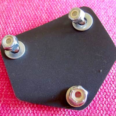 Pearl Tom Mount Hole Cover Panel image 2