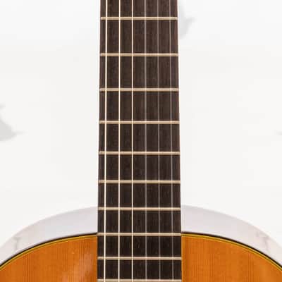 Daion GC 20 (Yamaki Built) image 7
