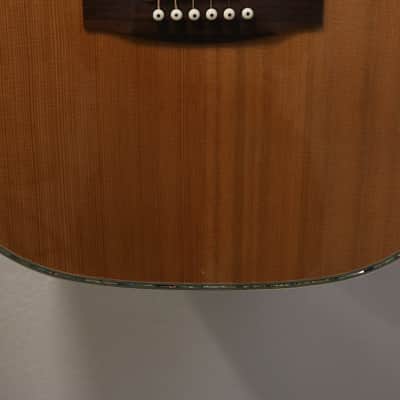 Zager ZAD-80 Acoustic Guitar Signed W/ Case image 7