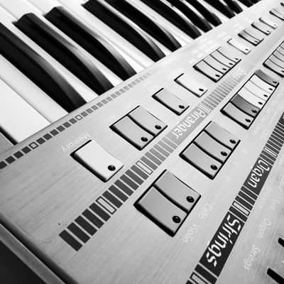 SOLTON KETRON PROGRAMMER 24S ULTRA RARE VINTAGE SYNTHESIZER FULLY SERVICED IN AMAZING CONDITION! image 25