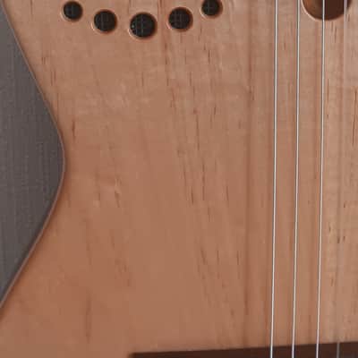 Godin Godin Multiac ACS Nylon String Electro-Acoustic - Natural Semi Gloss image 4