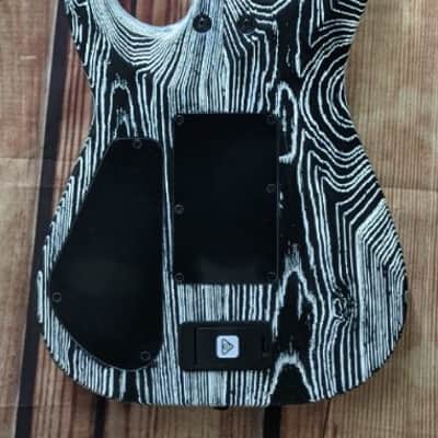 Jackson Professional Series Dinky, DK Modern Black White Ash FR6 - DEMO image 2
