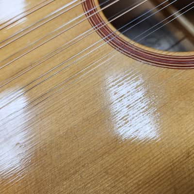 Vintage 1960s Goya TS-4 12-String Dreadnought - Recent Neck Reset w/ Original Hard Shell Case image 16