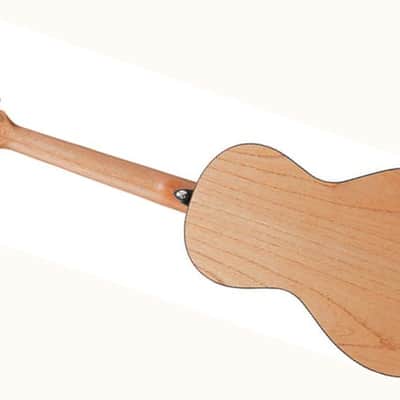 Ibanez PN2MD-OPN Parlor Size Acoustic Guitar 2026 - Natural Satin Finish image 3