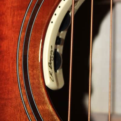 2023 Breedlove - Oregon Concert CE *Limited Edition* - Old Fasioned - Myrtlewood image 3