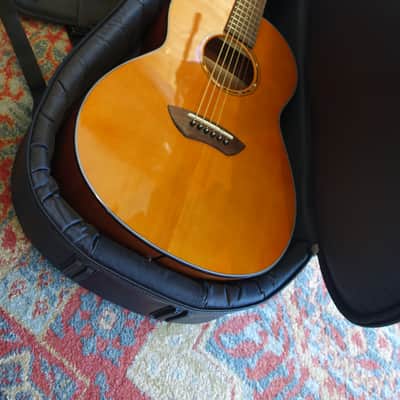 Yamaha CSF1M-VN Parlor 2023 - Vintage Natural image 3