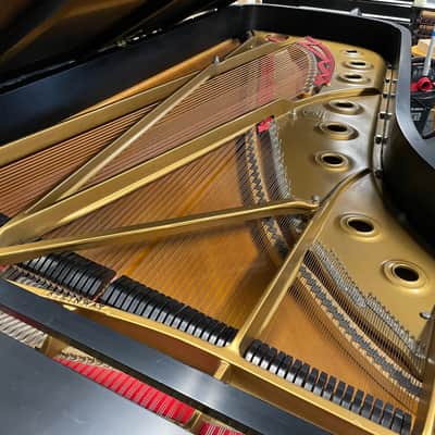Steinway & Sons Model D (9') 1967 Concert Grand Piano w/QRS Player System image 5