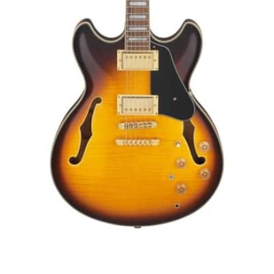 Ibanez JSM10EM TTB John Scofield image 2
