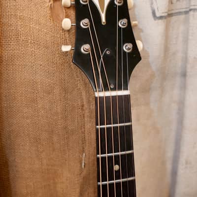 Epiphone FT-45 Cortez 1960 - Sunburst image 6