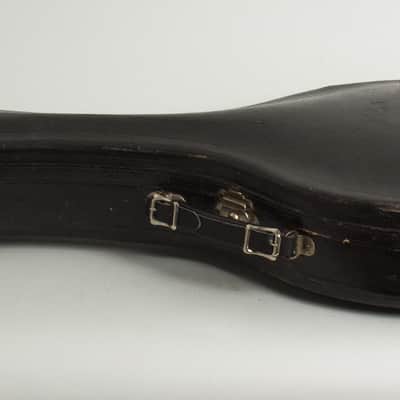 Gibson Style H-1 Carved Top Mandola (1917), ser. #42xxx, original black hard shell case. image 11