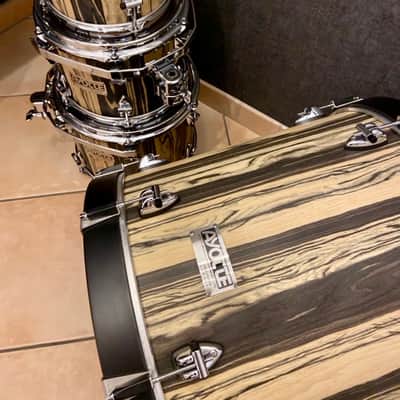 Immagine Ayotte custom maple King ebony - Maple King ebony - 12