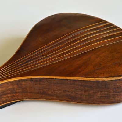 Mandolin by J. Murthwaite Newcastle 1901 image 18