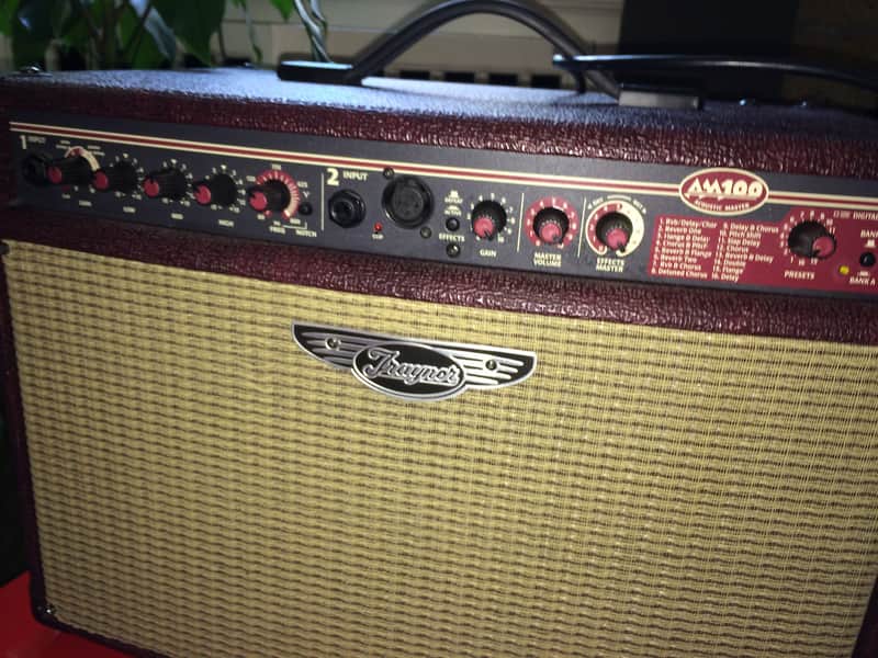 Traynor AM100T Acoustic Master 100-Watt 2x6.5" Tilt-Back Acoustic Guitar Combo with Tweeter image 1