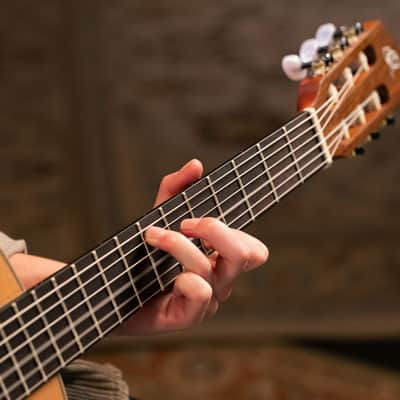 Ortega R122-3/4 Family Series Cedar Top Mahogany Neck 3/4-Size Nylon 6-String Classical Acoustic Guitar w/Gig Bag image 21