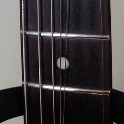 ESP George Lynch Sunburst Tiger image 4