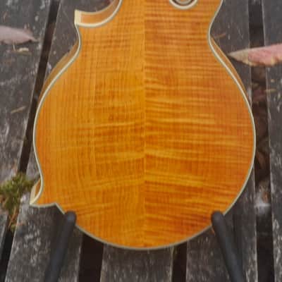 Epiphone MM-50E Professional Mandolin - Natural image 8