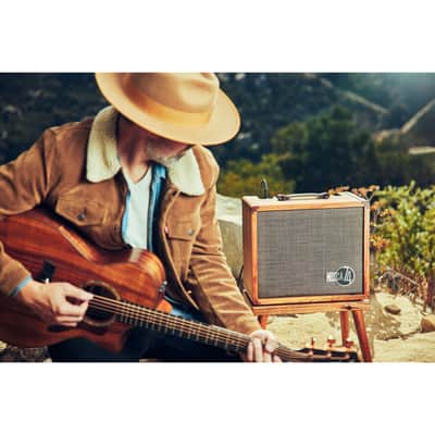 Taylor Circa 1974 Acoustic/Vocal Amp - Koa image 11