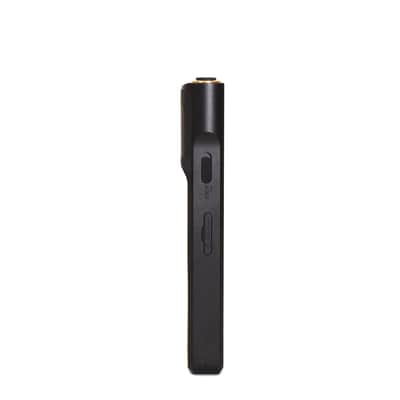 Sony NW-WM1AM2 Hi-Res 128GB Walkman Digital MP3 Music Player (US Version) NWWM1AM2 image 7