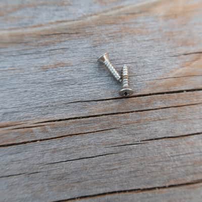 Fender Telecaster 1974 Control Plate Screws (2) image 5