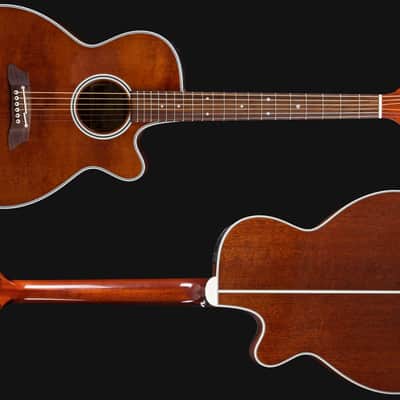 Takamine EF-261 SAN Acoustic-Guitar, cedar top, Pick-up and Case, s/h image 1