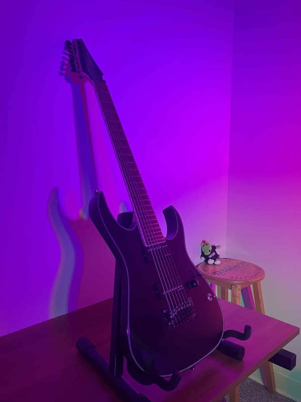 Ibanez RGIR30BFE Iron Label | Reverb