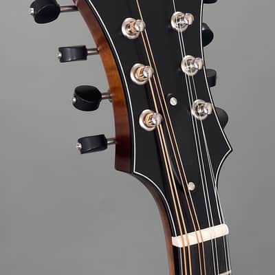 Northfield F2S Oval Hole w/ Red Spruce Top & Wide Nut (#S2501448) image 8