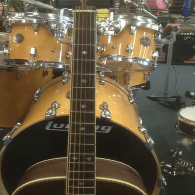 New Washburn Vintage Series WSJ124K Acoustic Guitar with Hard Shell Case image 2