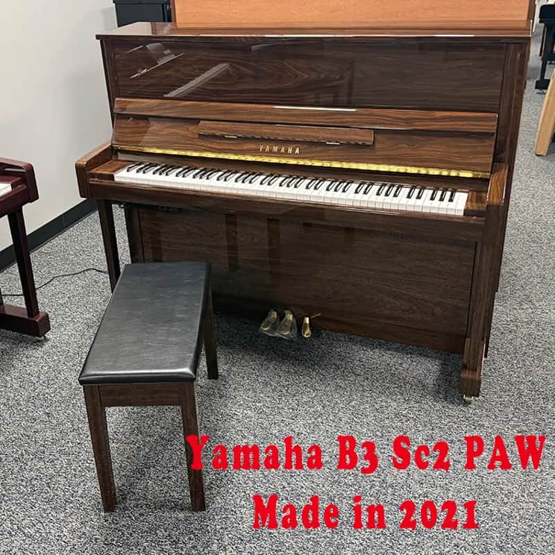 Yamaha B3sc2 PAW 2021 - Polished American Walnut image 1
