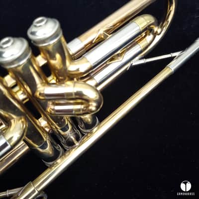 Holy grail ! The Martin Committee Handcraft Goldbrass transitional trumpet case mouthpiece gamonbrass image 12