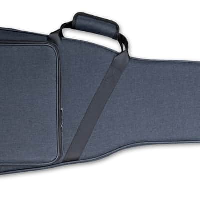 Takamine SH300A Semi Hard Case Classical (CTAKSH300A) image 3