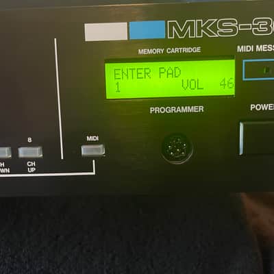 KiwiTechnics Kiwi-30 V2 with Waveboard -upgraded Roland MKS-30